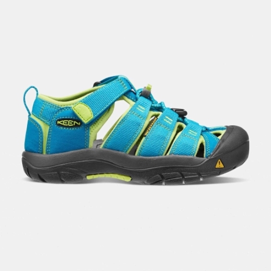 Keen Newport H2 Kids' Sandals Blue Green | 39045BIPG