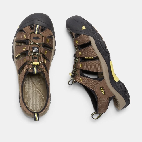 Keen Newport H2 Men's Hiking Sandals Brown Black | 08769AXTY