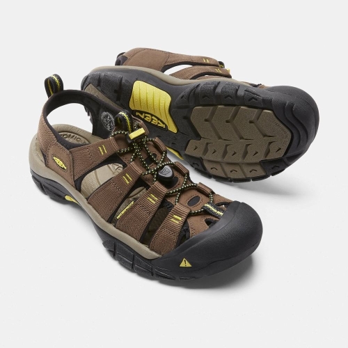 Keen Newport H2 Men's Hiking Sandals Brown Black | 08769AXTY